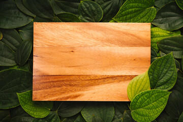 Wooden on Green leaf background for copy space. Ecology background.