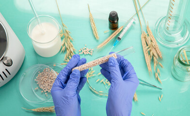 Analyzing agricultural wheat grains in laboratory