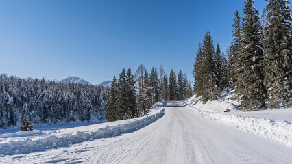 Fototapeta na wymiar The road, trodden in the snow and cleared, climbs the hill. In the snowdrifts on the roadsides- coniferous trees. Mountain peaks against a clear blue sky. Altai. 