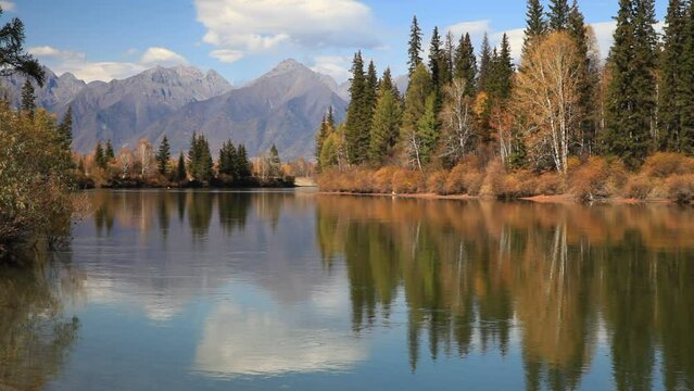 Autumn landscape with yellowed trees on banks of Irkut River and mountains of Eastern Sayan in distance on sunny September day. Baikal region, Buryatia, Tunka foothill valley