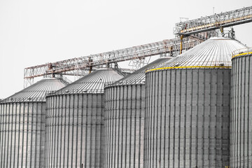 Agro silos or agricultural product storage tank (rice,flour,wheat , cereals and grain) on white sky background