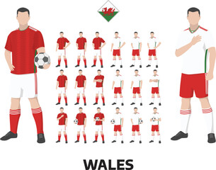Wales Football Team Kit, Home kit and Away Kit