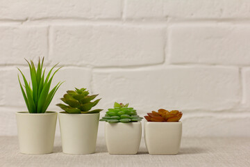 Indoor artificial plants, various succulents in pots. Succulents in white mini-pots. Ideas for home decoration.Copy space.