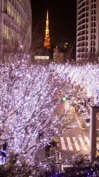 東京のタイムラプス夜景_06（けやき坂クリスマスイルミネーション）_縦長ビデオ