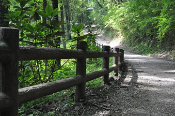 木の柵のある曲がった道