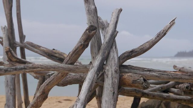 shelter made from driftwood on a deserted island inhabited by castaways.