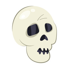 Cartoon flat skull skeleton isolated on white background. Halloween icon, clip art, digital design element, pirate symbol, sign.Vector isolated illustration.