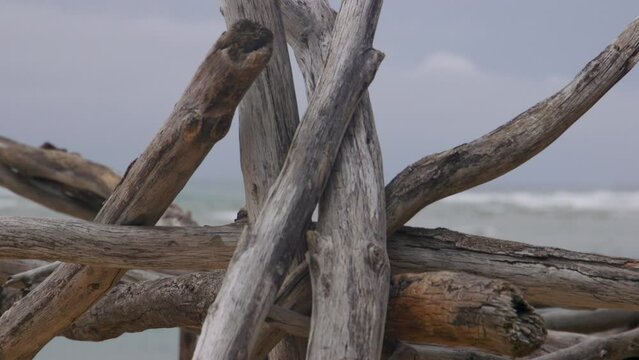 drift wood used to make a shelter for marooned castaways on a deserted island.