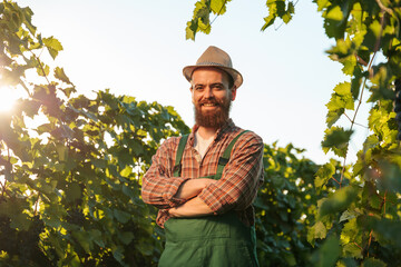 Front view looking at camera happy smile of a young male winemaker farmer with his arms crossed...