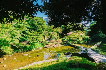 Fototapeta premium spring in the park