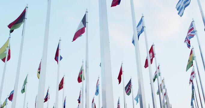 flags of the world