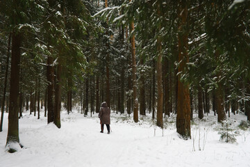 Winter snowy frosty landscape. The forest is covered with snow. Frost and fog in the park.