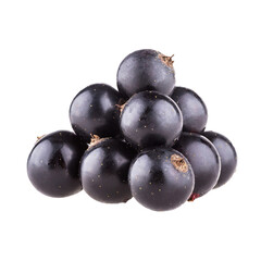 Black currant on the transparent background. 