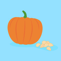 pumpkin and seeds on a blue background