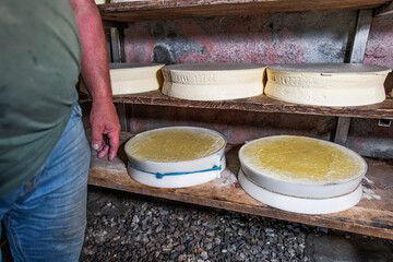 Interior of an alpine hut with typical forms of local cheese