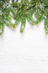 Natural fir tree branches with snow in top of white textured background with space for text.  New Year and Christmas concept. Top view, copy space
