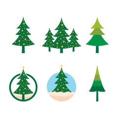 Pine tree illustration