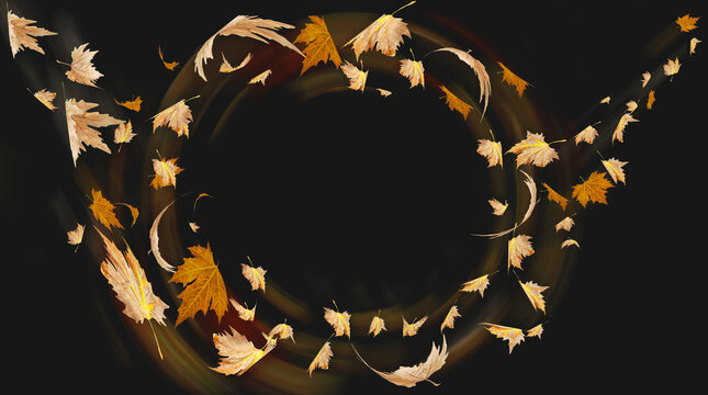 autumn leaves round tornado  hurricane flying  falling isolated for background and spce for your message - 3d rendering