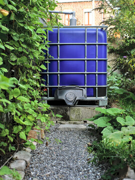 Rainwater collection tank, with blue walls, in a green setting.