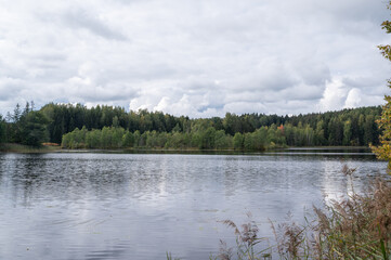 lake in the forest