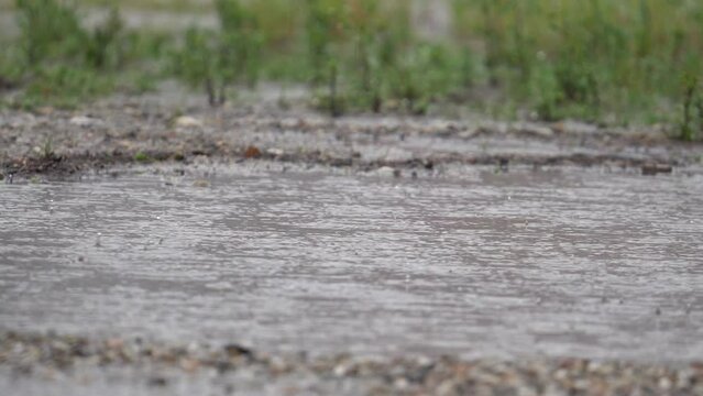 Rain Drops Falling on A Gravel Driveway Puddle - Unzoom Static