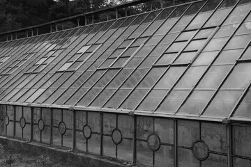 Parts of a side view of an old greenhouse in a nostalgic black and white look