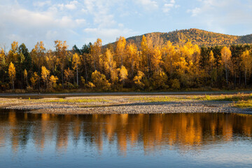 Autumn landscape on a sunny day. Yellow forest, river, mountains, reflection in water, blue sky.