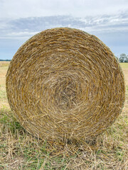 Round hay bale