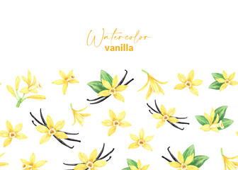 Watercolor yellow vanilla flowers, dried sticks and green leaves. Border or band. Illustration of blooming orchid. Hand drawn perfume ingredient for recipe, label, packaging design, washi tape