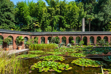 Fototapeta na wymiar Greenhouse in the Villa Taranto Botanical Gardens in Verbania. Province of Piedmont in Northern Italy