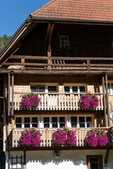 Fototapeta na wymiar wood balconies with blossoming petunia flowers at traditional farm in Black Forest near Gutach, Germany