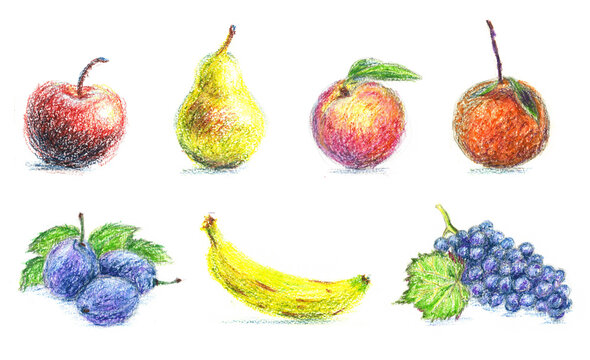 Pencil drawing set of fruits