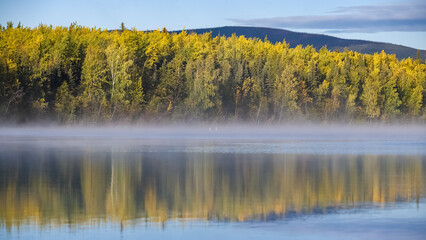 Yukon in Canada, wild landscape in autumn of the Tombstone park, reflection of the trees in a lake
