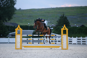 A bay horse in a show jumping competition. A rider on a horse jumps over an obstacle. Field with...