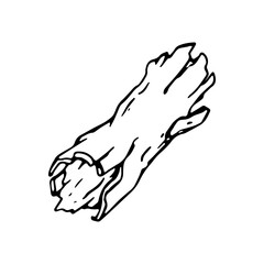 Dry wood in tattoo doodle style. Hand drawn stump illustration.