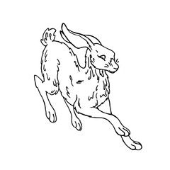 Rabbit in doodle style. Isolated vector.