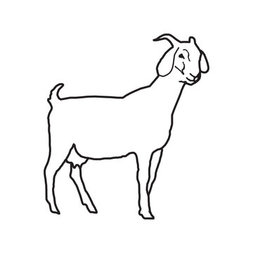 Goat icon logo vector design