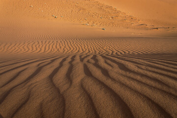 Desert sand formations in Saudi Arabia
