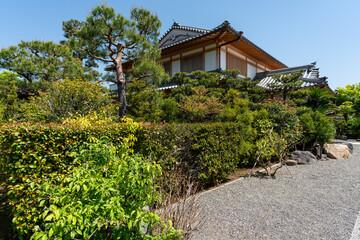 Kyoto, Japan - April 19, 2018: path leading to a Tenryuji temple building blocked by pine tree bushes on a sunny day in arashiyama district during spring season