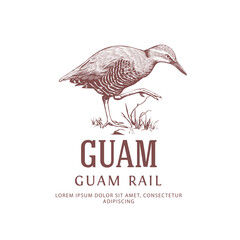 Guam Rail. Vintage Bird Logo