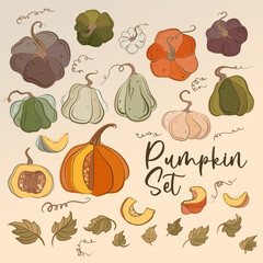 Pumpkins, squash and leaves vector symbols illustrations.  Fall harvest gourds. Realistic hand-drawn vector illustration set isolated. Collection of line drawing pumpkins whole, slice and halves.