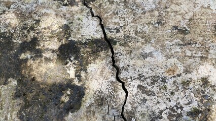 Long crack, paint, fungus, mould damage and stain on old aged and weathered dirty cement white wall, floor or ceiling surface of abandoned building. Background texture with copy space. Close up view.