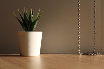 small potted fake plant on wooden table and dark background, aloe vera