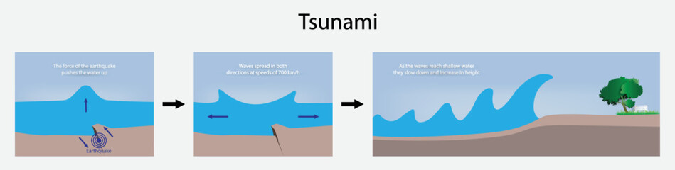 illustration of physics and biology,Tsunami waves are caused by earthquakes under the ocean or by volcanic eruptions, tsunami has a high destructive power,  emergency situation and natural phenomenon - obrazy, fototapety, plakaty