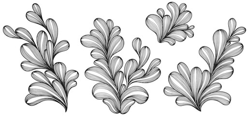 Illustration of leaves . Abstract png composition.