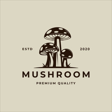 mushroom logo vector vintage illustration template icon graphic design. organic food sign or symbol for farm product with retro style