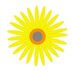 Fototapeta premium yellow flower sunflower bouquet plant