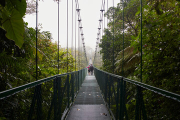 Fototapeta na wymiar Hanging bridge in the forest