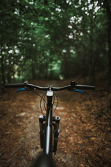 Fototapeta na wymiar Mountain biker riding on flow single track trail in green forest, POV behind the bar's view of the cyclist. POV MTB riding in the woods. Outdoors active sports concept.