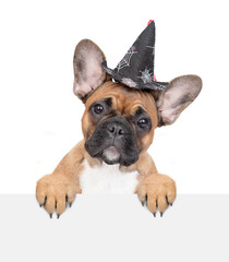 Obraz premium Funny French Bulldog puppy wearing hat for halloween looks above empty white banner. Isolated on white background